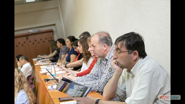 Conferinta de lansare POSDRU 142006 (3)